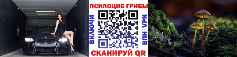 Галлюциногенные грибы Magic Shrooms  Губаха 